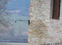 foto 04